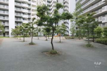 中庭