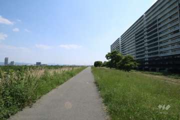 淀川スーパー堤防