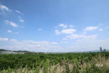 淀川スーパー堤防から眺める枚方市街地