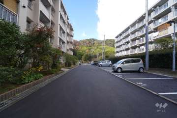 敷地北側の前面道路