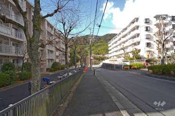 敷地北側の前面道路（東側から）