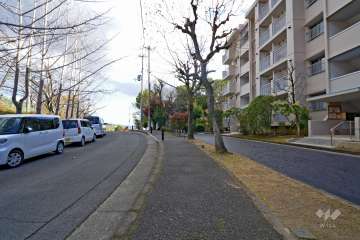 敷地北側の前面道路（西側から）