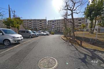敷地北側の前面道路（西側から）