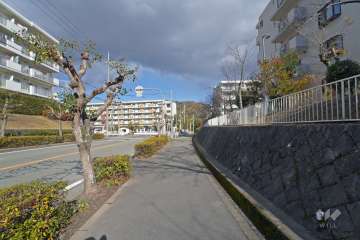 敷地西側道路