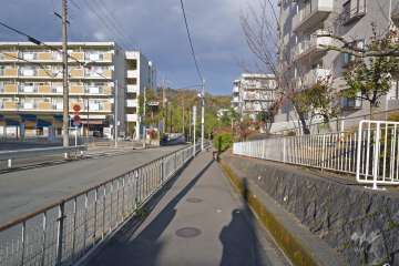 敷地西側前面道路（北側から）