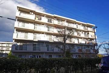 若山台第3住宅14号棟の外観（南西側から）