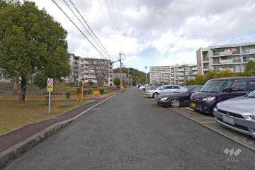 敷地東側の前面道路（南側から）
