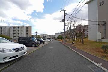 敷地東側の前面道路（北側から）