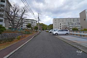敷地東側の前面道路（南側から）