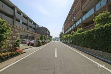 敷地北側の前面道路。周辺はマンションや戸建が立ち並ぶ閑静な住宅街です。