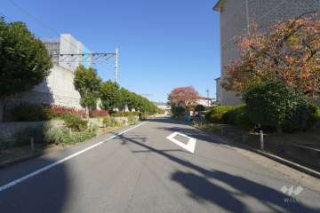 敷地西側の前面道路（南側から）