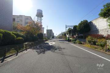 敷地西側の前面道路（北側から）