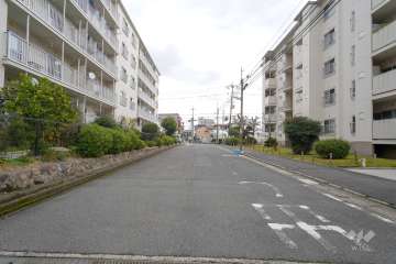 敷地南側の前面道路（西側から）