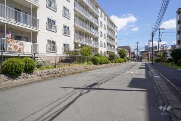 敷地南側の前面道路