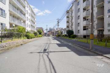 建物南側の通路