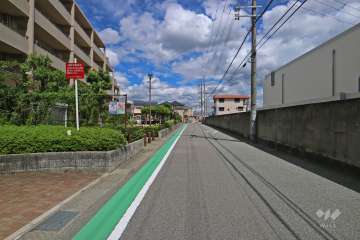 敷地東側の前面道路（南側から）