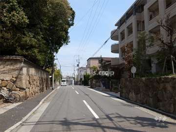 敷地の前面道路。交通量は少なめ。