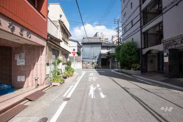 敷地南側の前面道路（西側から）