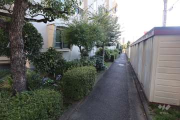 敷地南側の通路（西側から）