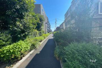 敷地南側の前面道路　