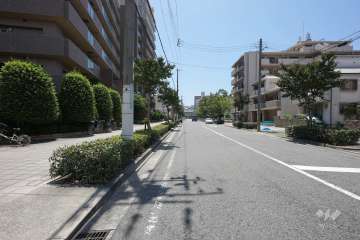 敷地西側の前面道路（北側から）