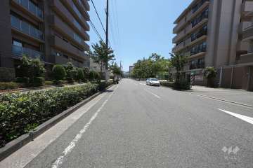 敷地西側の前面道路（北側から）