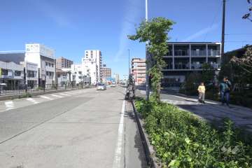 敷地北側の前面道路（西側から）