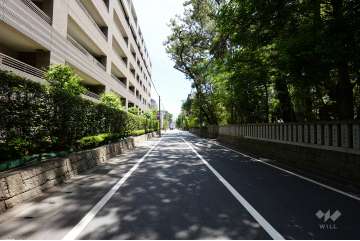 敷地西側の前面道路。道を挟んで熊野神社があります。