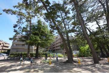 敷地北側の公園から見たステイツグラン甲子園口松並町