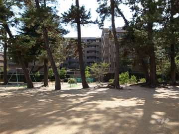 敷地北側の公園から見たステイツグラン甲子園口松並町