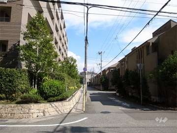 敷地南側の前面道路。道を挟んで、一戸建てが立ち並んでいます。