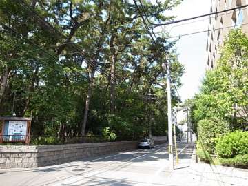 敷地西側の前面道路。道を挟んで熊野神社があります。