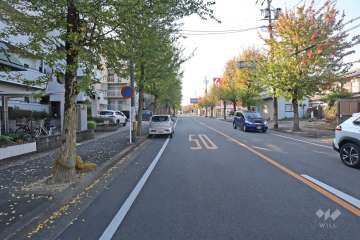 敷地北側の前面道路（東側から）