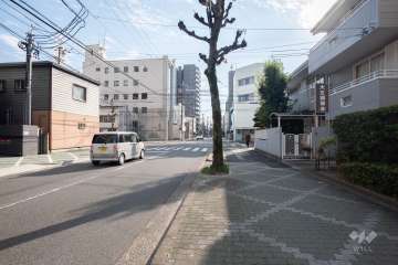 敷地西側の前面道路（北側から）