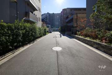 敷地東側の前面道路(北側から)