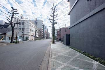 敷地東側の前面道路（北側から）