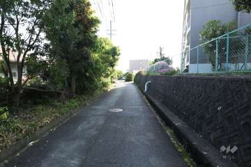 敷地南側の前面道路（東側から）