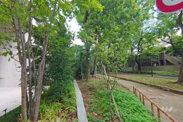 敷地南側の前面道路（西側から）
