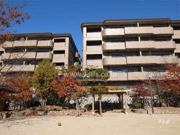 コート芦屋三条町の外観（南側から）