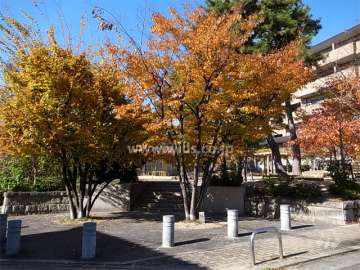 公園内には緑が多く、遊具も設置されています。