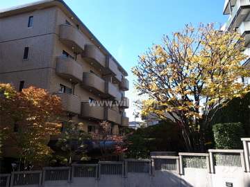 敷地内には、よく手入れされた庭園があります。