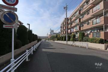 敷地南側の前面道路