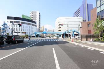 敷地西側の前面道路(南側から）