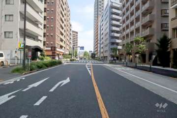 敷地北側の前面道路