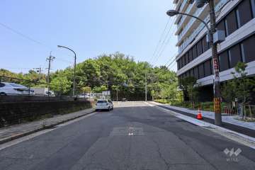 敷地東側の前面道路（北側から）