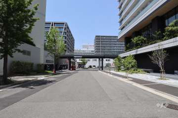 敷地西側の前面道路（南側から）