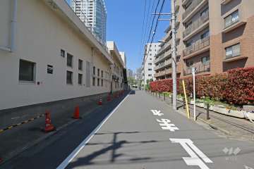 敷地の西側道路（南側から）