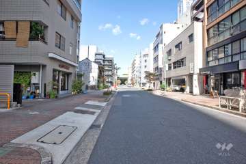 敷地の東側前面道路（南側から）