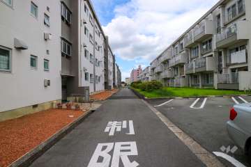 敷地南側の前面道路（東側から）