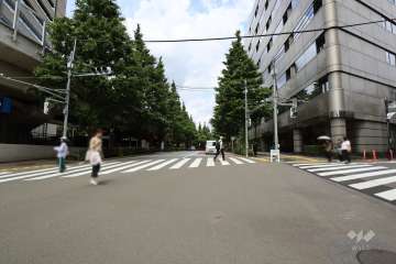 敷地北西側の前面道路（南西側から）